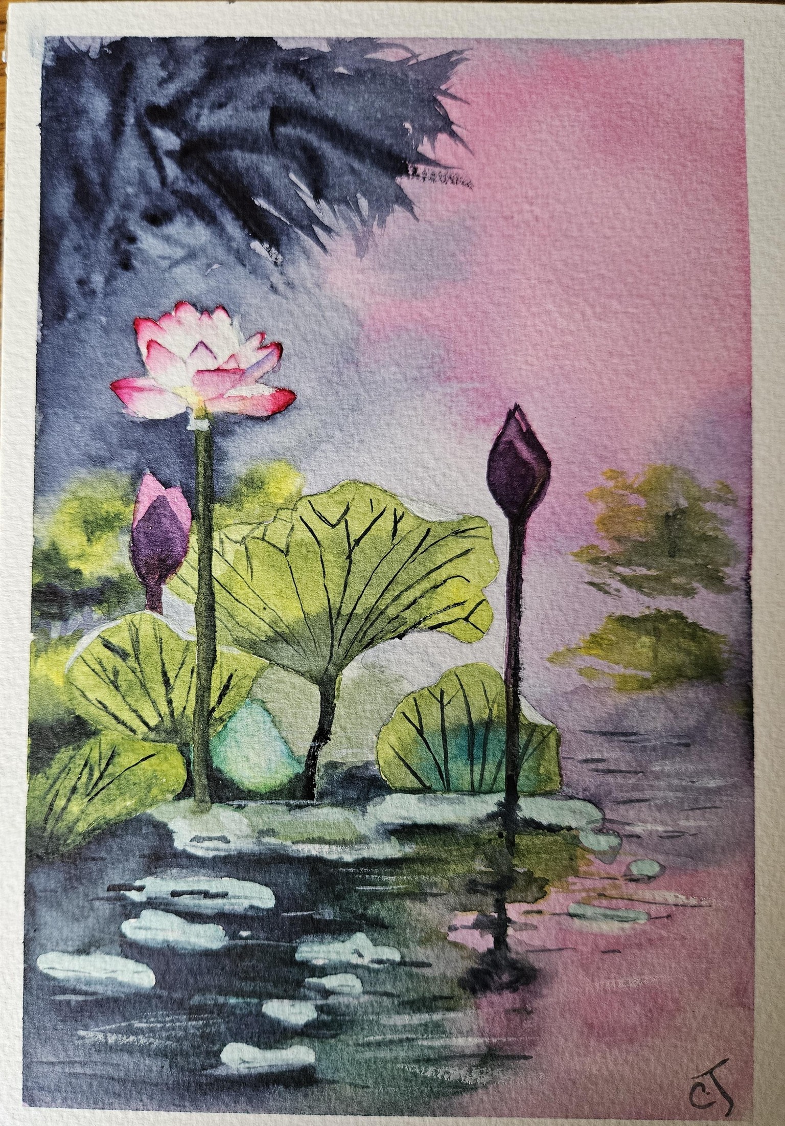 Dreamy lotus lake - image 1 - student project