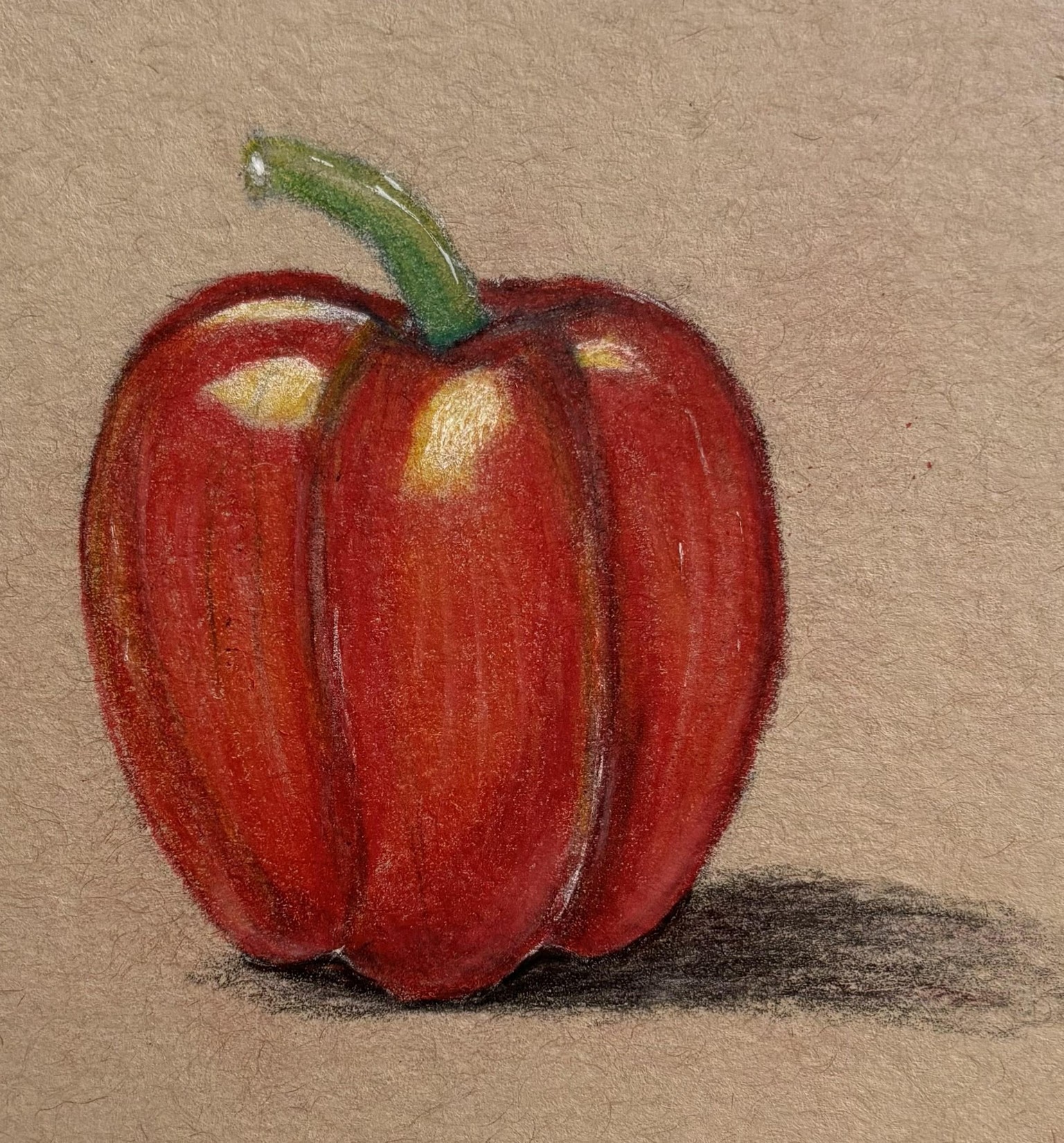 My colored pencil project (Paprika) - image 1 - student project