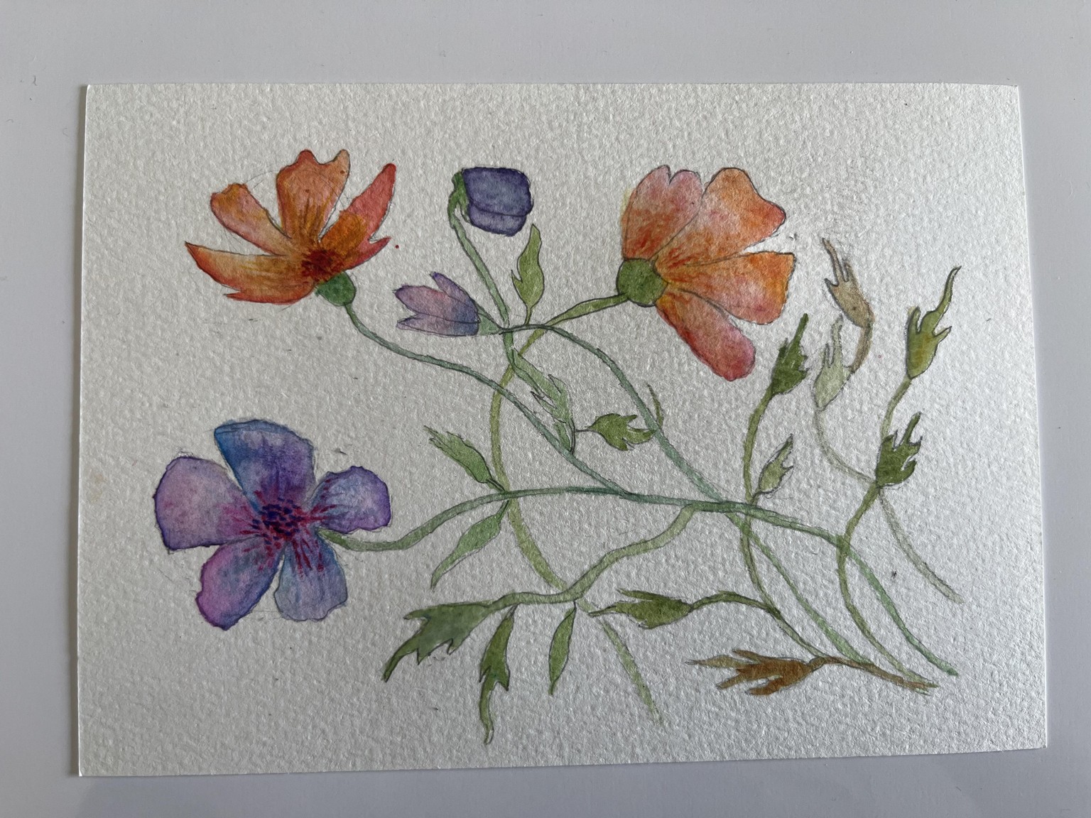 Watercolor Flower - image 1 - student project