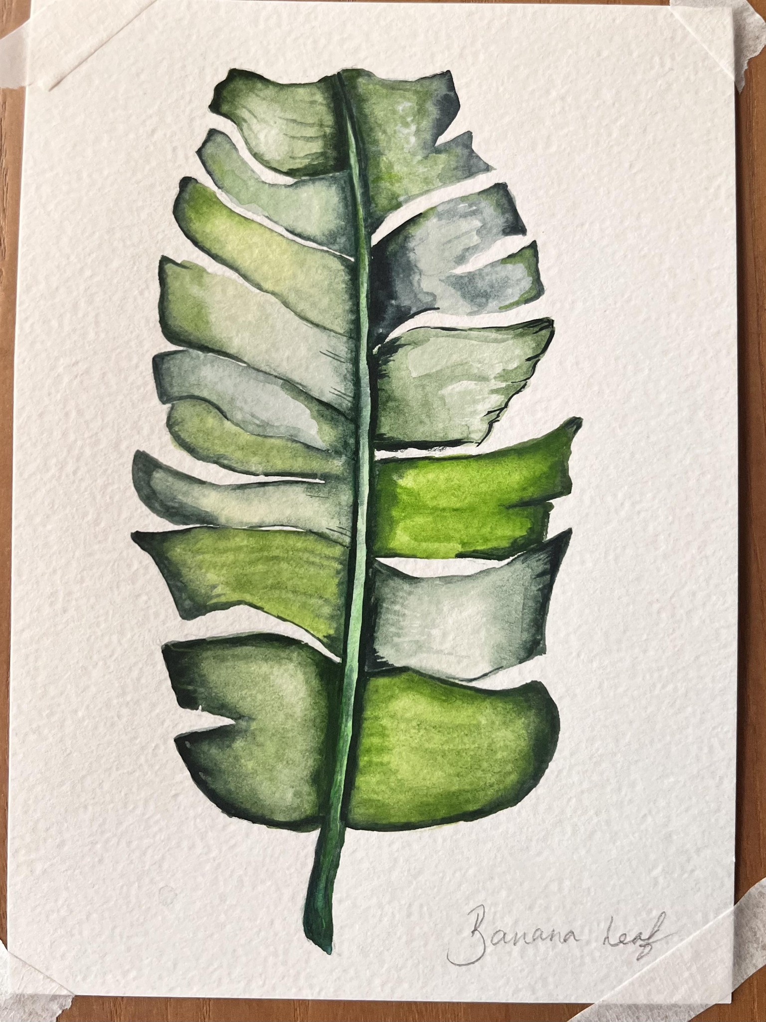 Tropical Plants and Flowers - image 2 - student project