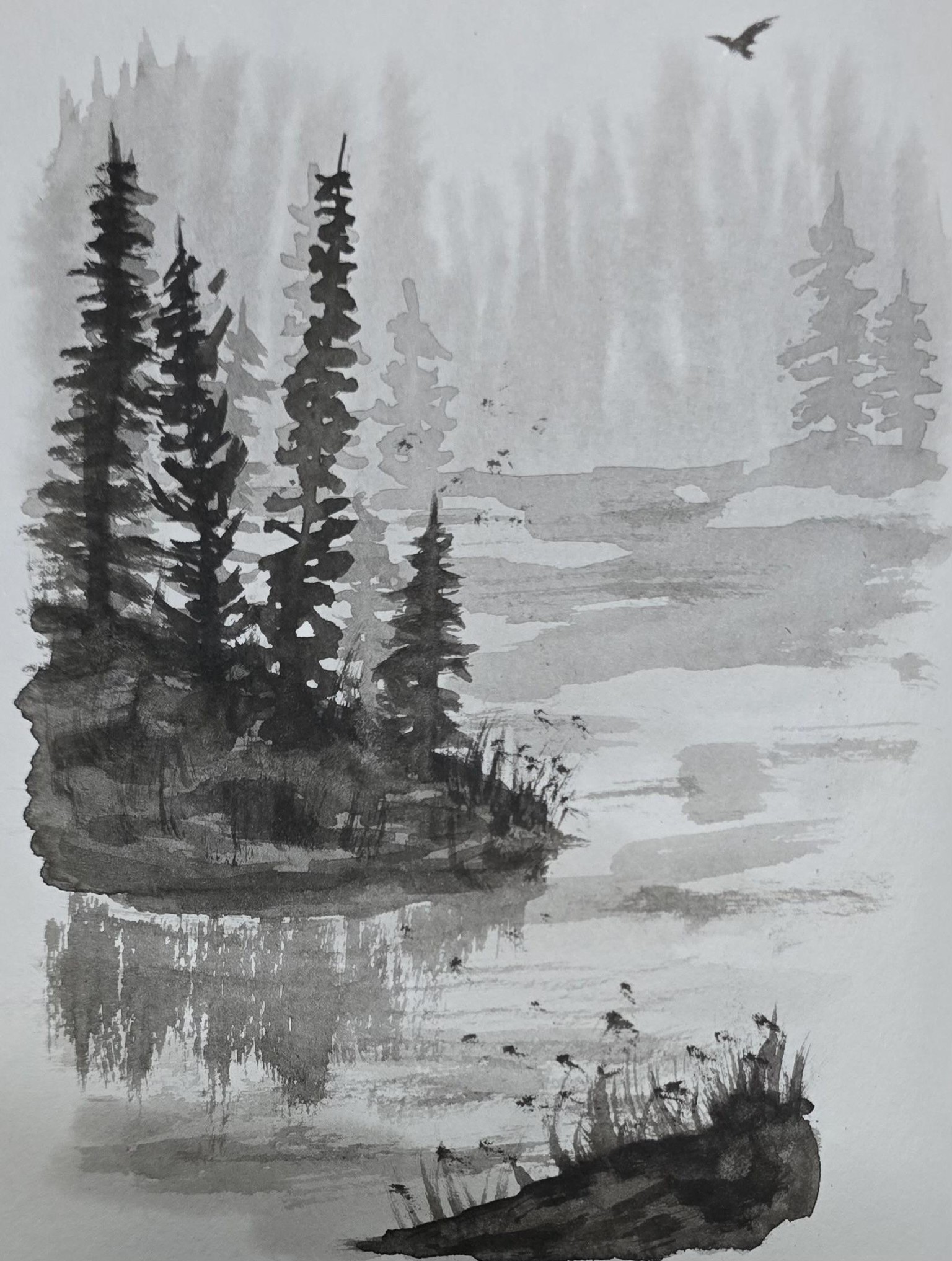 Monochromatic misty pines - image 3 - student project
