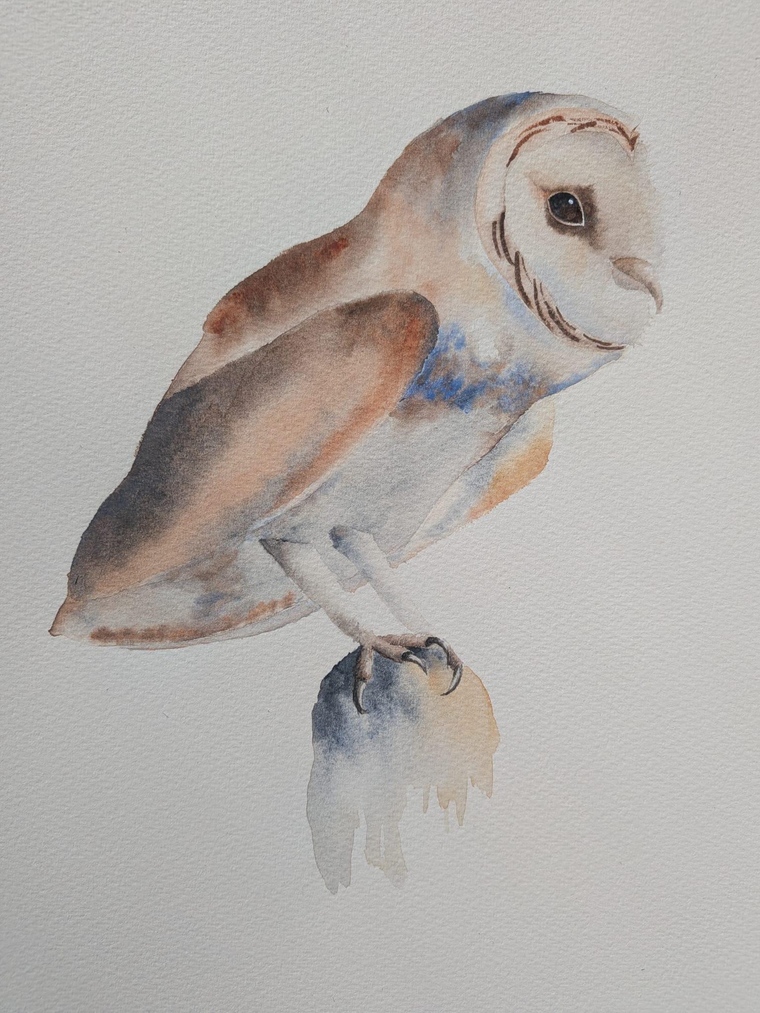 Perching Owl - image 1 - student project