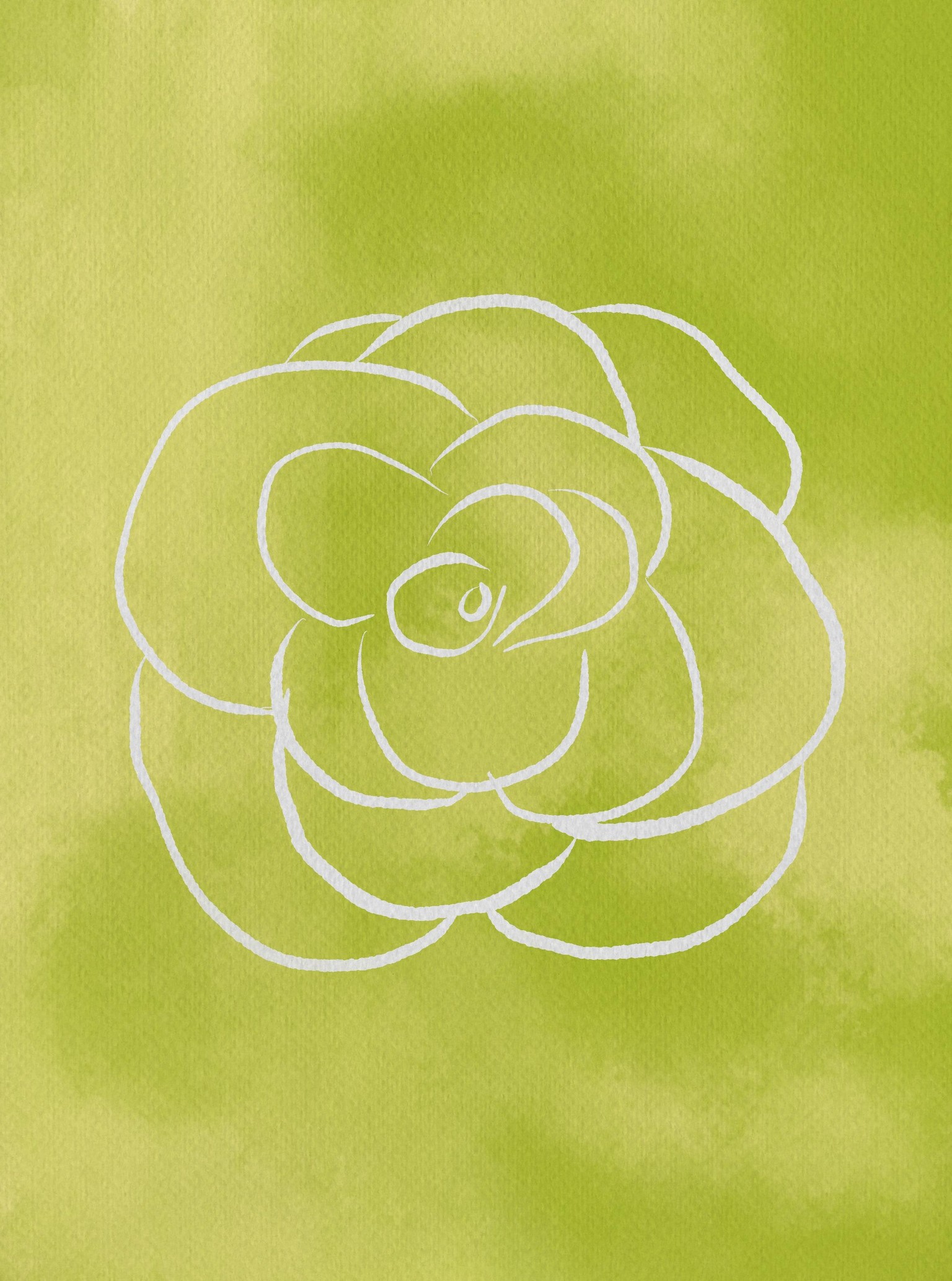 More Watercolour Florals - image 4 - student project