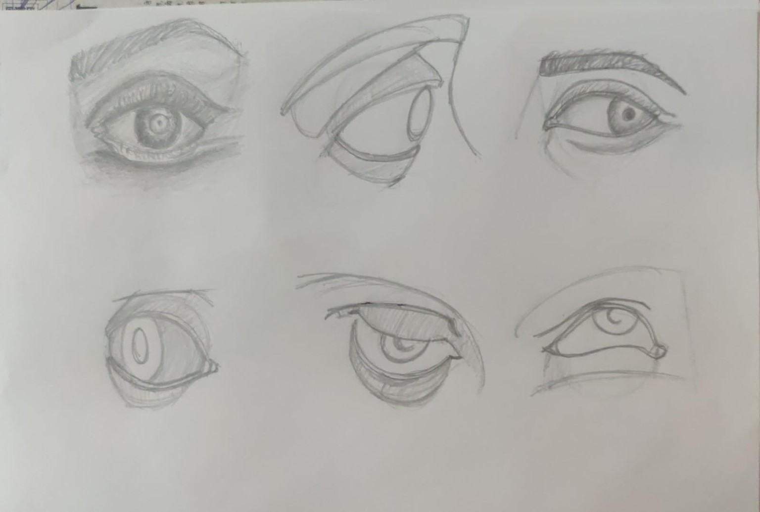 The Head Shape, Eye, Nose, Lips, Ears, Hair, Portraits. - image 5 - student project