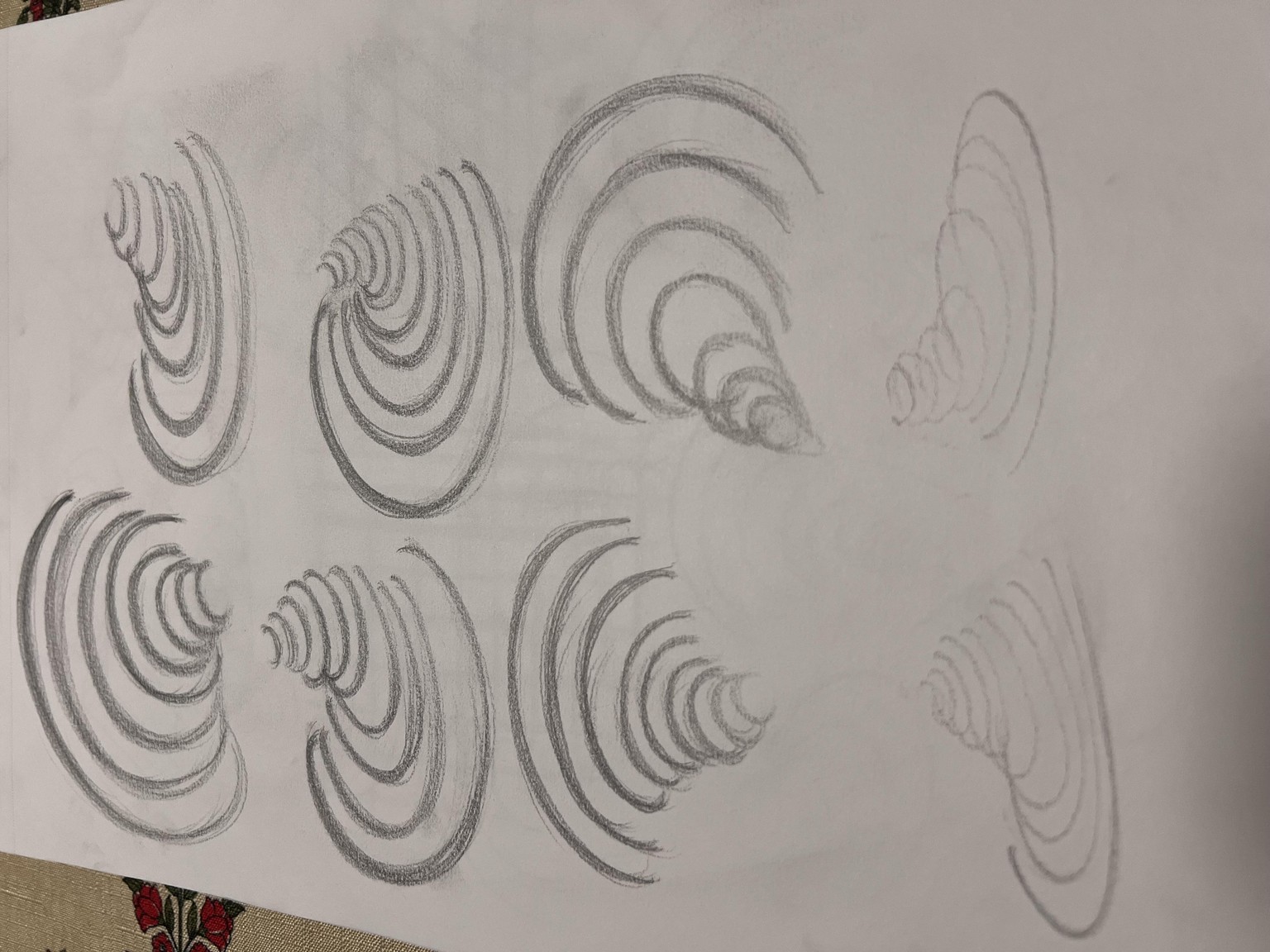 Line, Form, and Shading Practice - image 3 - student project