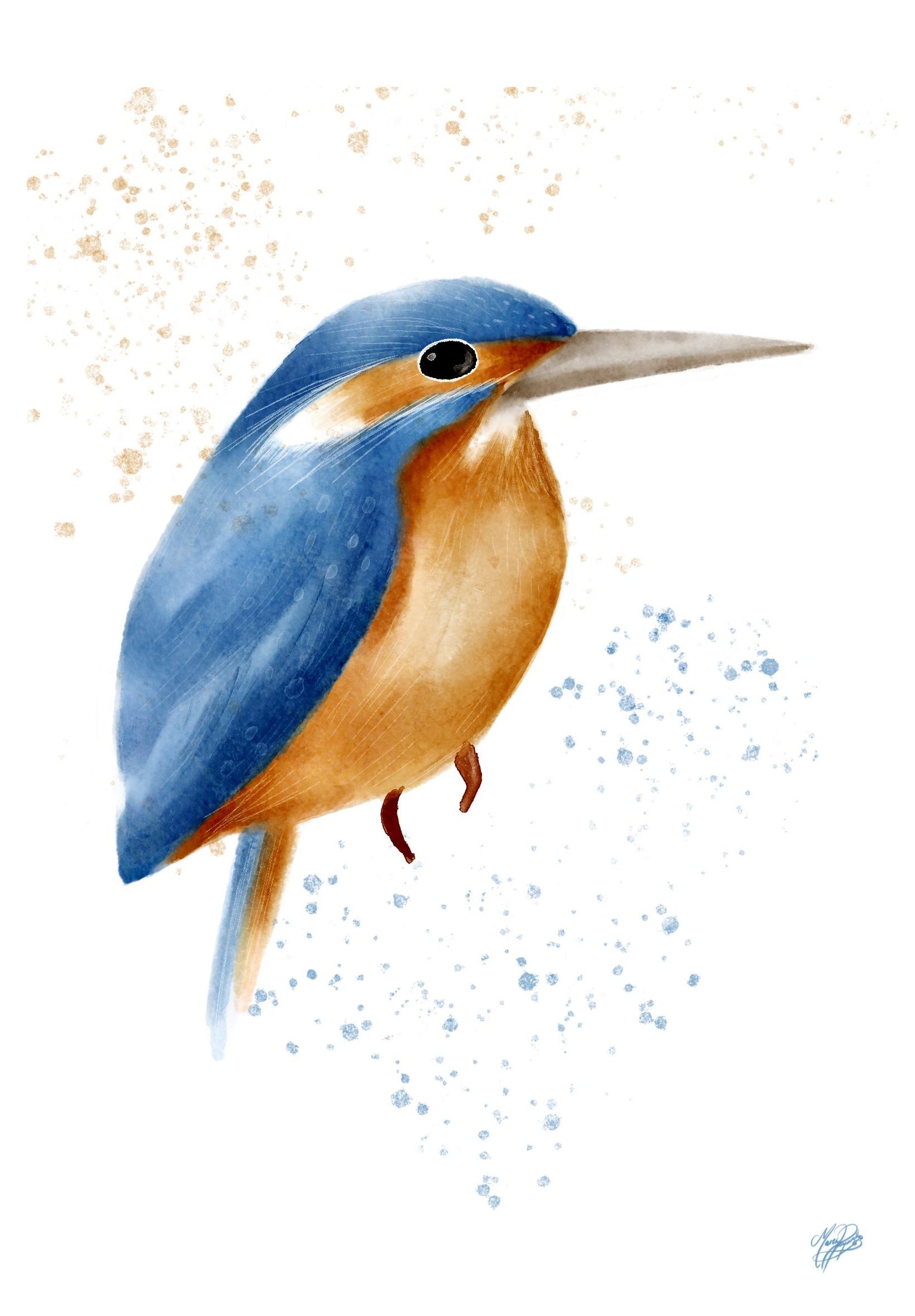 Watercolour Kingfisher - image 1 - student project