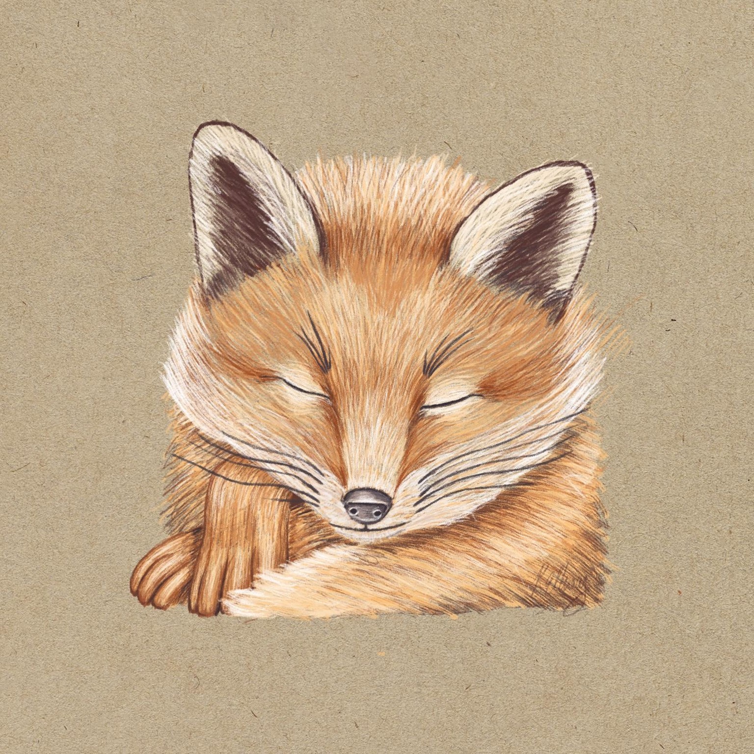 Fox - image 1 - student project