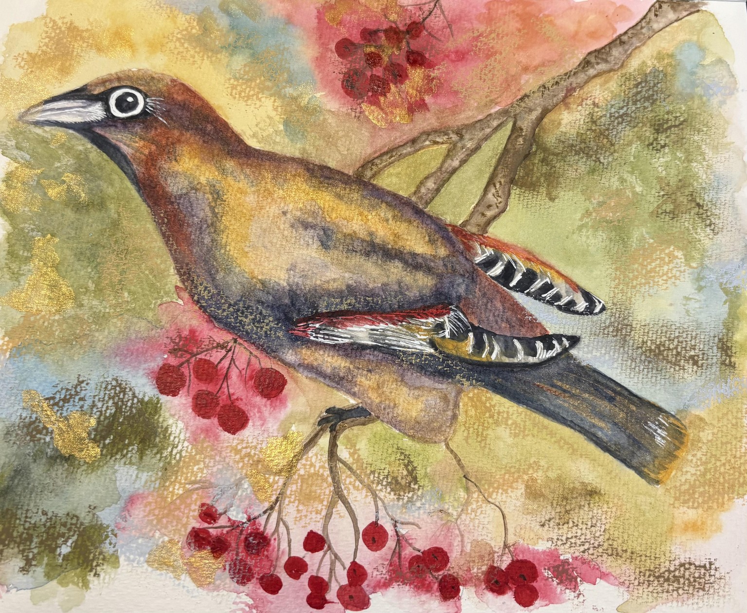 Bohemian Waxwing - image 1 - student project