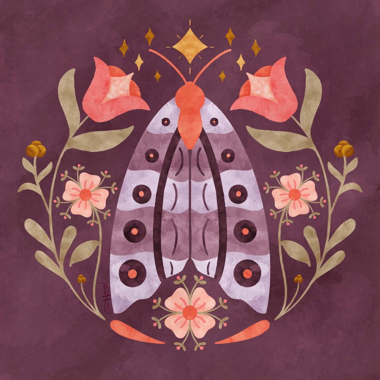 Moth Illustration Using Symmetry - image 1 - student project