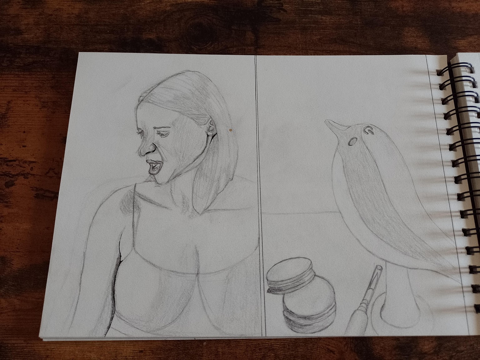drawing exercices - image 3 - student project