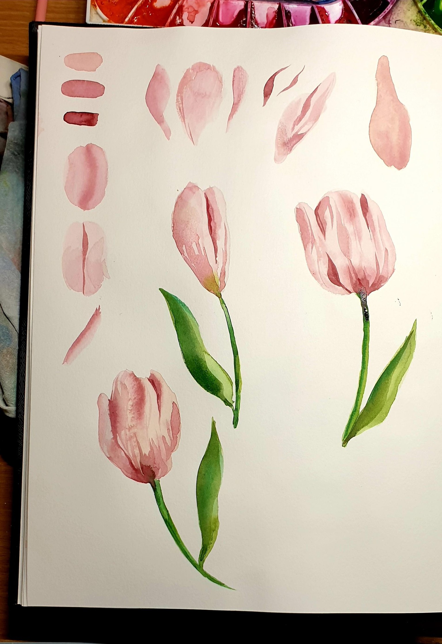 Tulips in new sketchbook - image 2 - student project