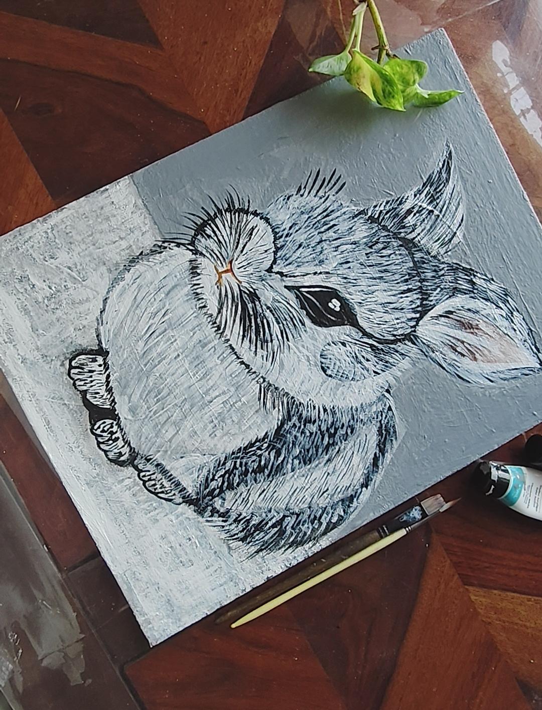 Peter rabbit🐇 - image 2 - student project