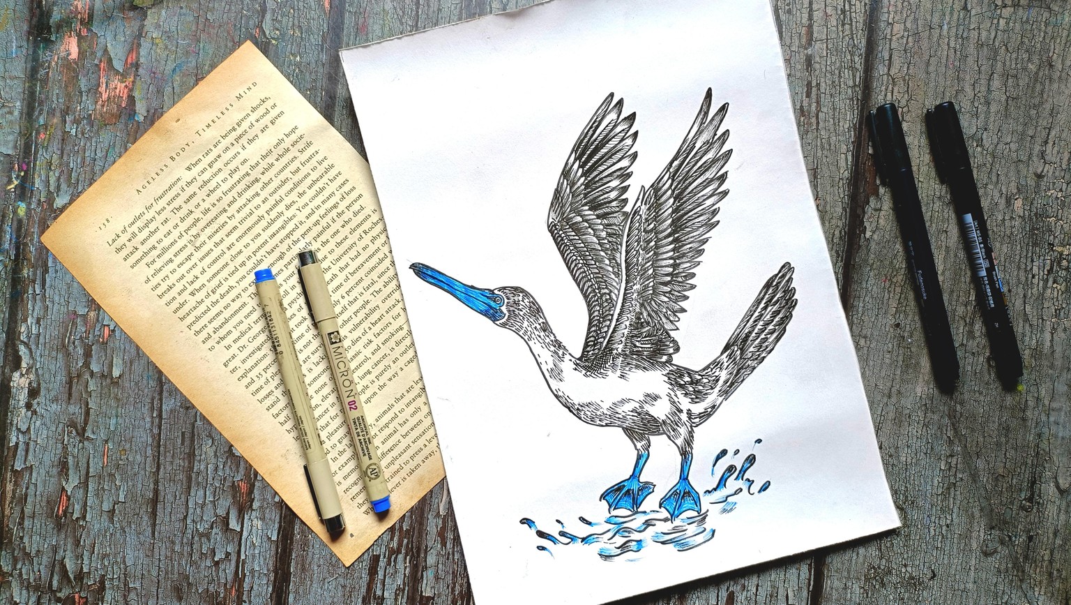 Blue Footed Bird - image 8 - student project