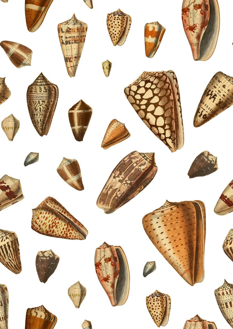 Pretty Patterns! - image 3 - student project