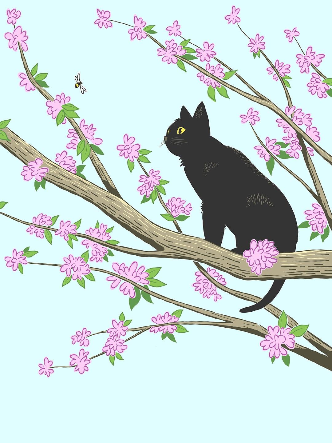 Black Cat & Cherry Blossoms - image 1 - student project