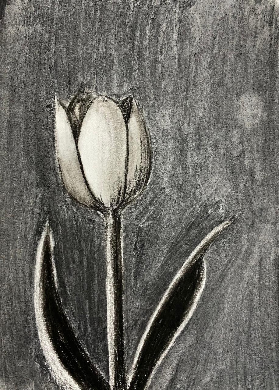 Charcoal flower - image 1 - student project