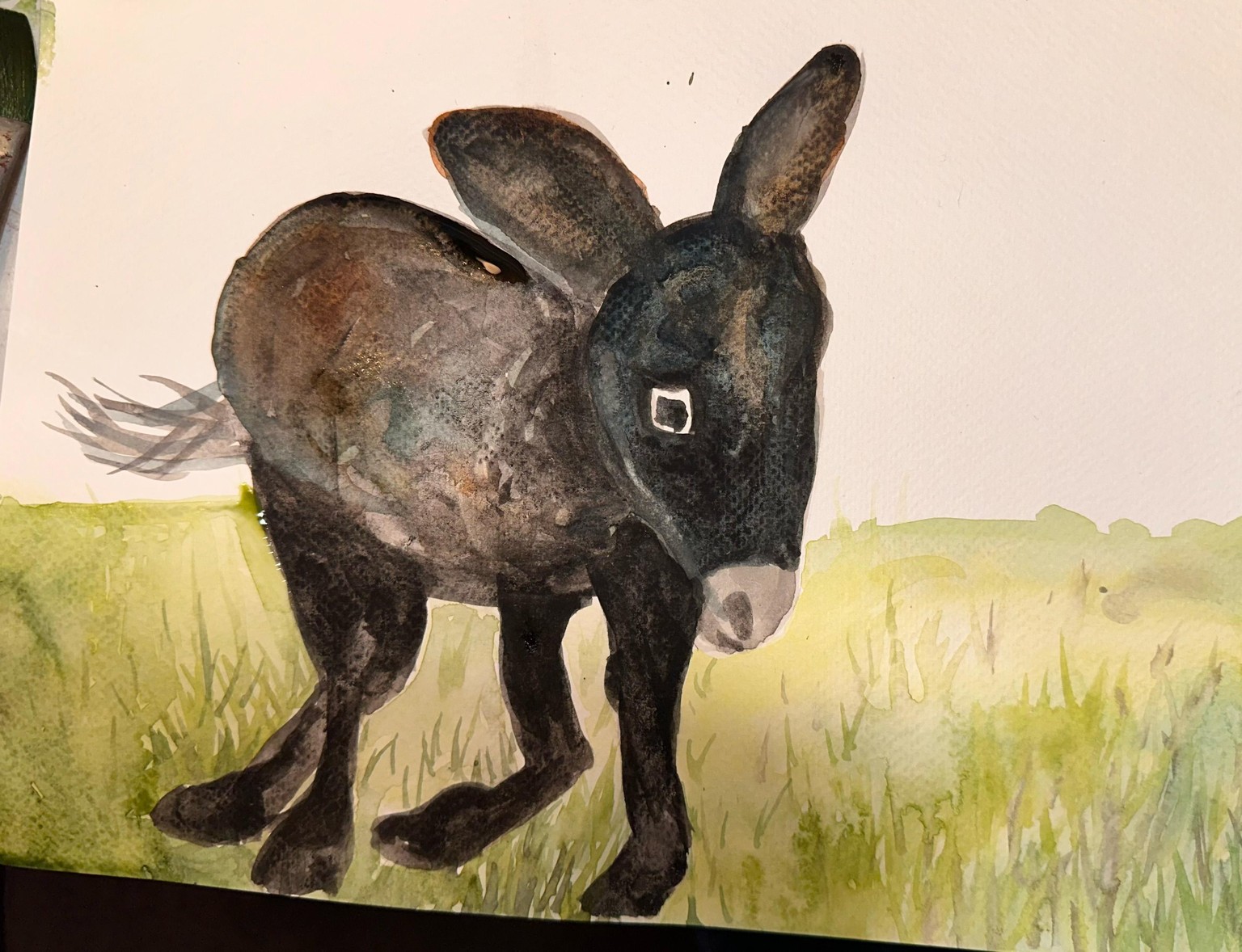Jen's Watercolor Projects - image 6 - student project