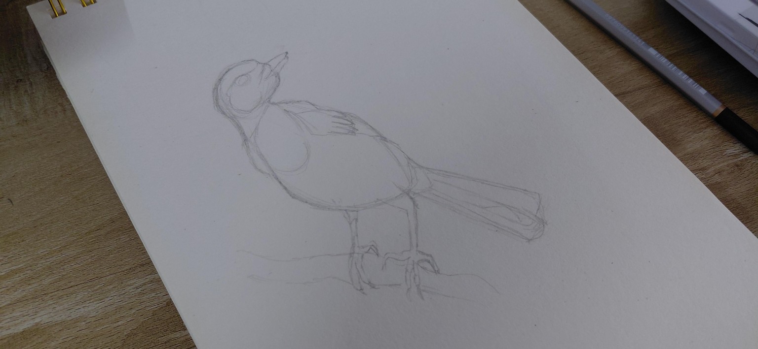 Practice projects - image 4 - student project
