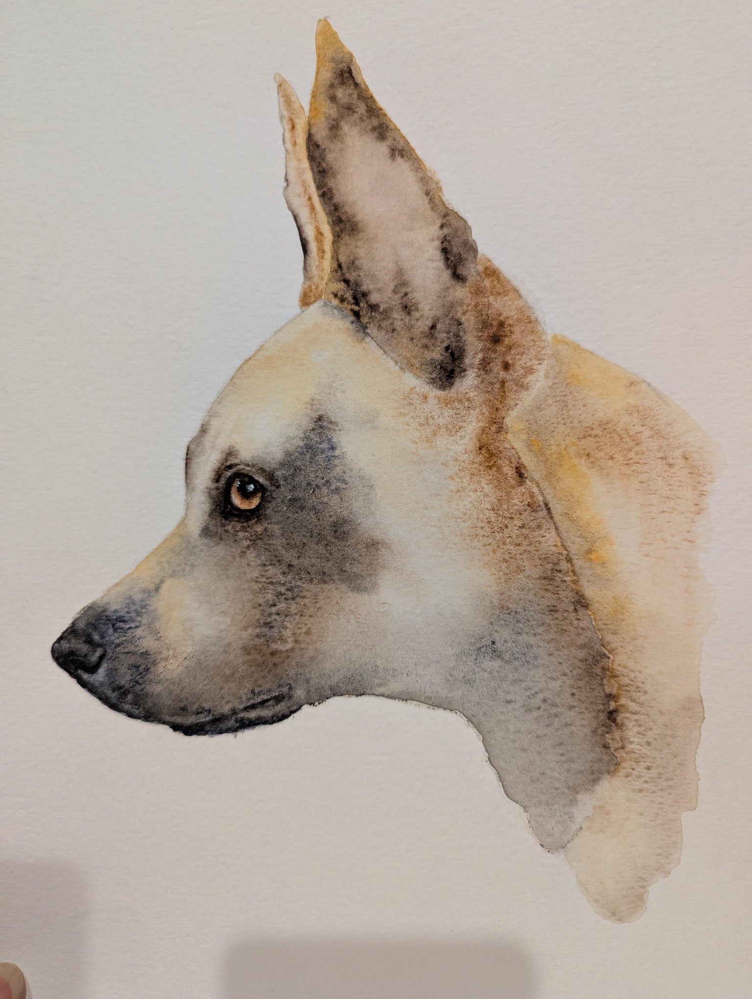 Pups - image 1 - student project