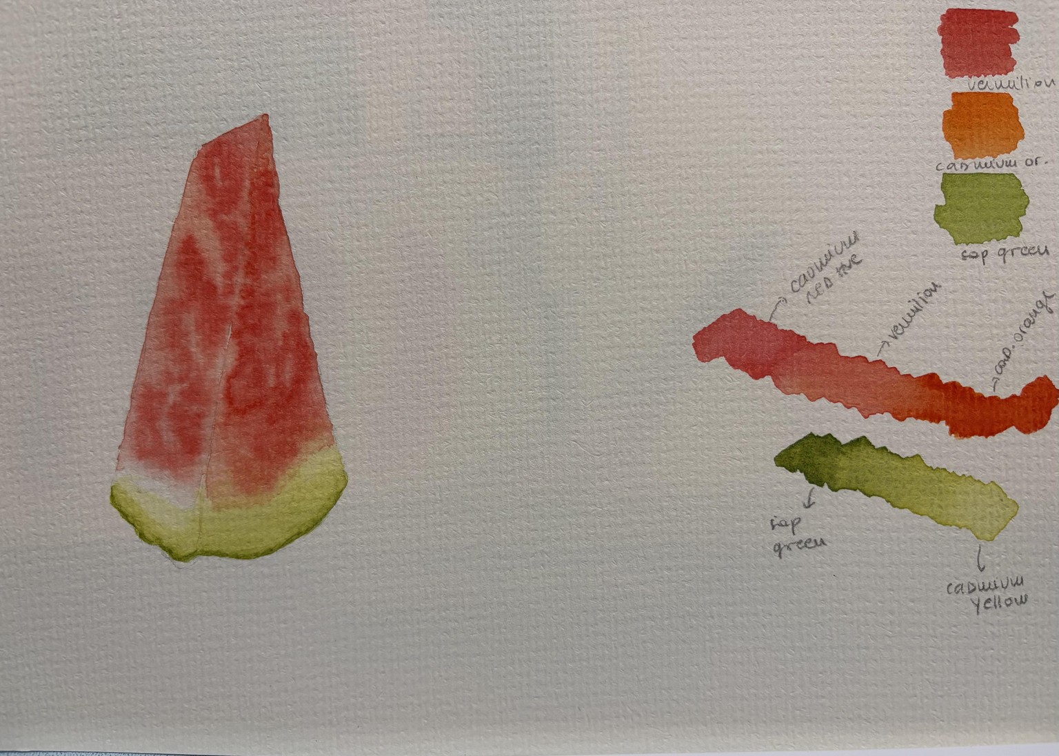 Watermelon and cherries - image 2 - student project