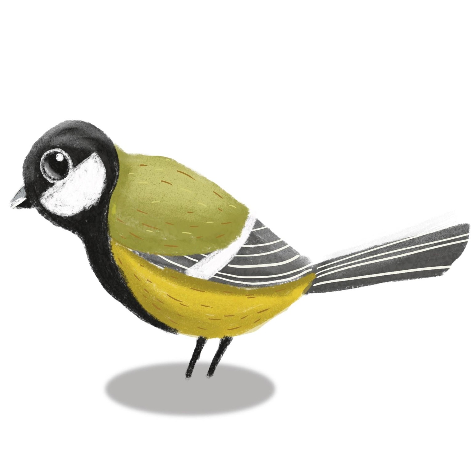 Cute Yellow Bird - image 1 - student project