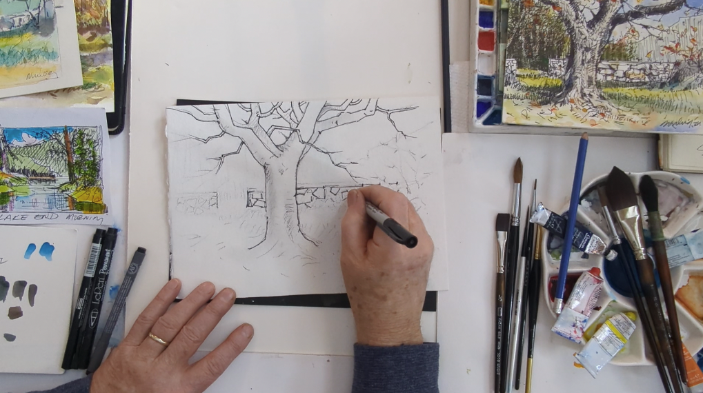 The Old Maple - image 3 - student project