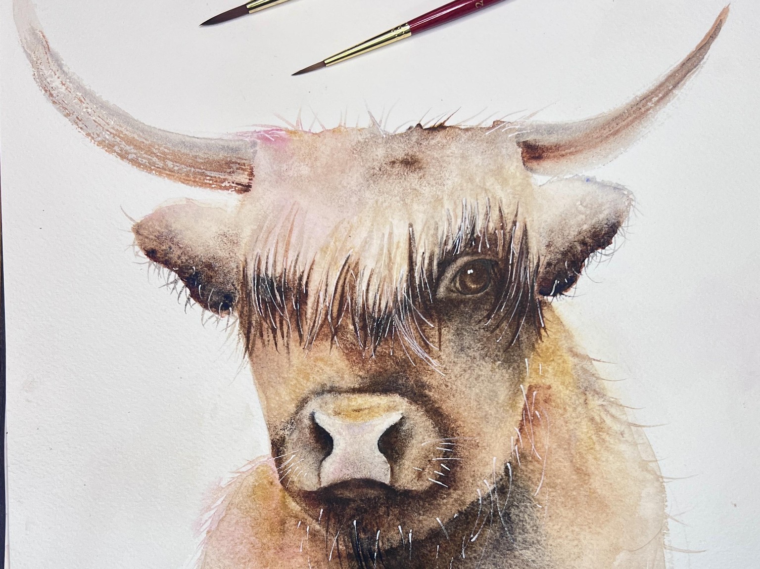My cow - image 1 - student project