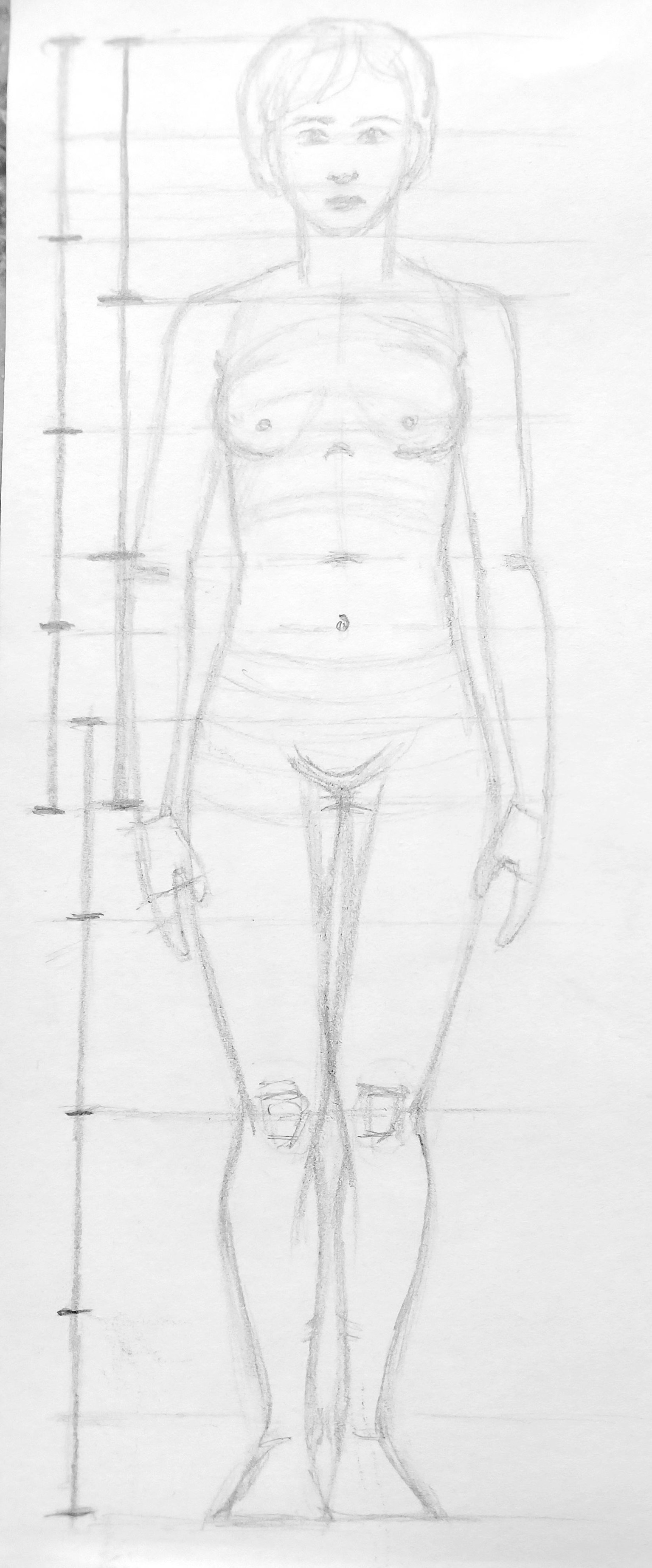 Body Proportions - image 6 - student project