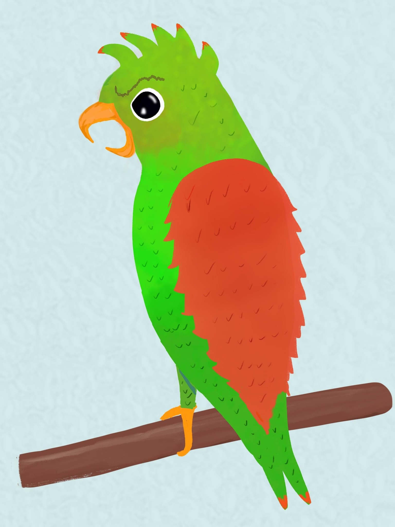 Wonder what ruffled his feathers……. . ? - image 2 - student project