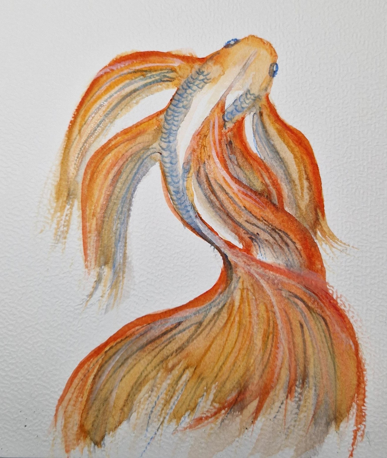 Poisson aqua - image 1 - student project