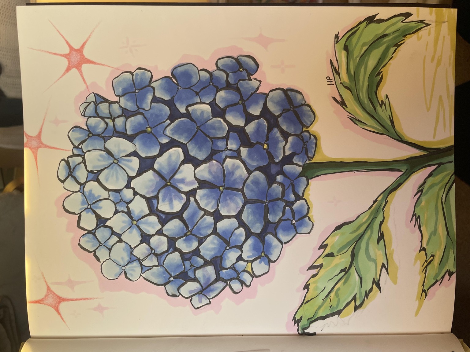 Hailey’s Hydrangea :-) - image 4 - student project