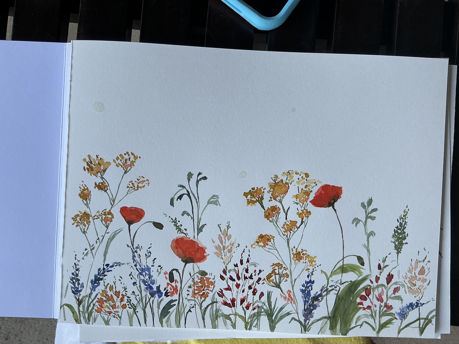 Wildflower meadow - image 1 - student project