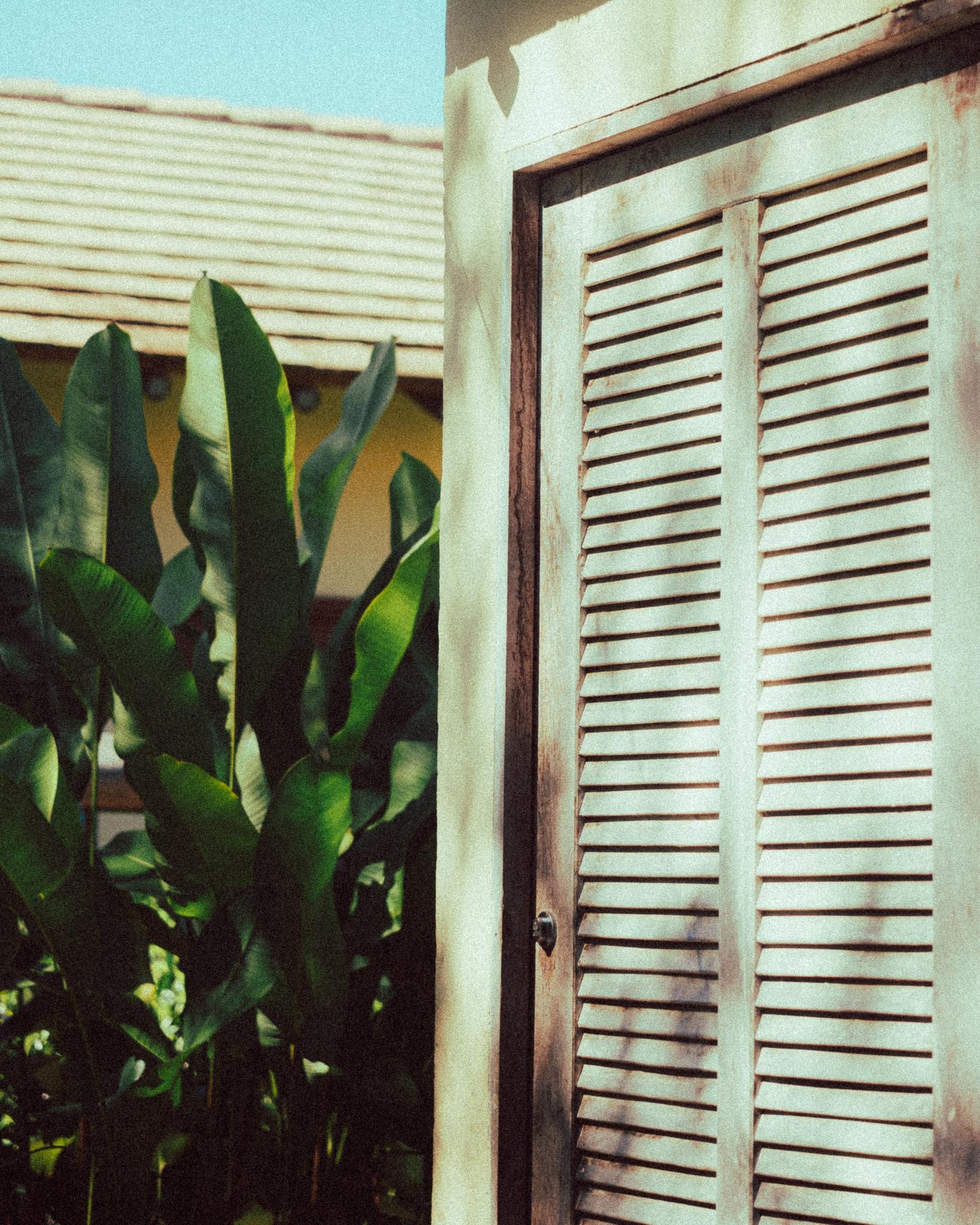 Porto Seguro - image 2 - student project