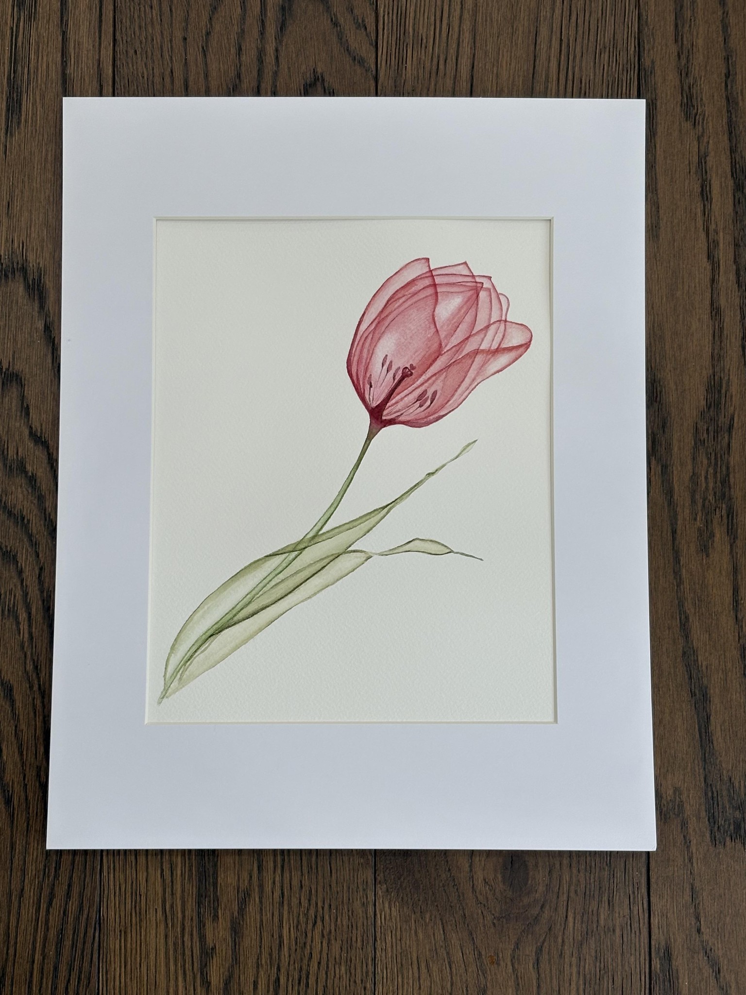 Tulip - image 1 - student project