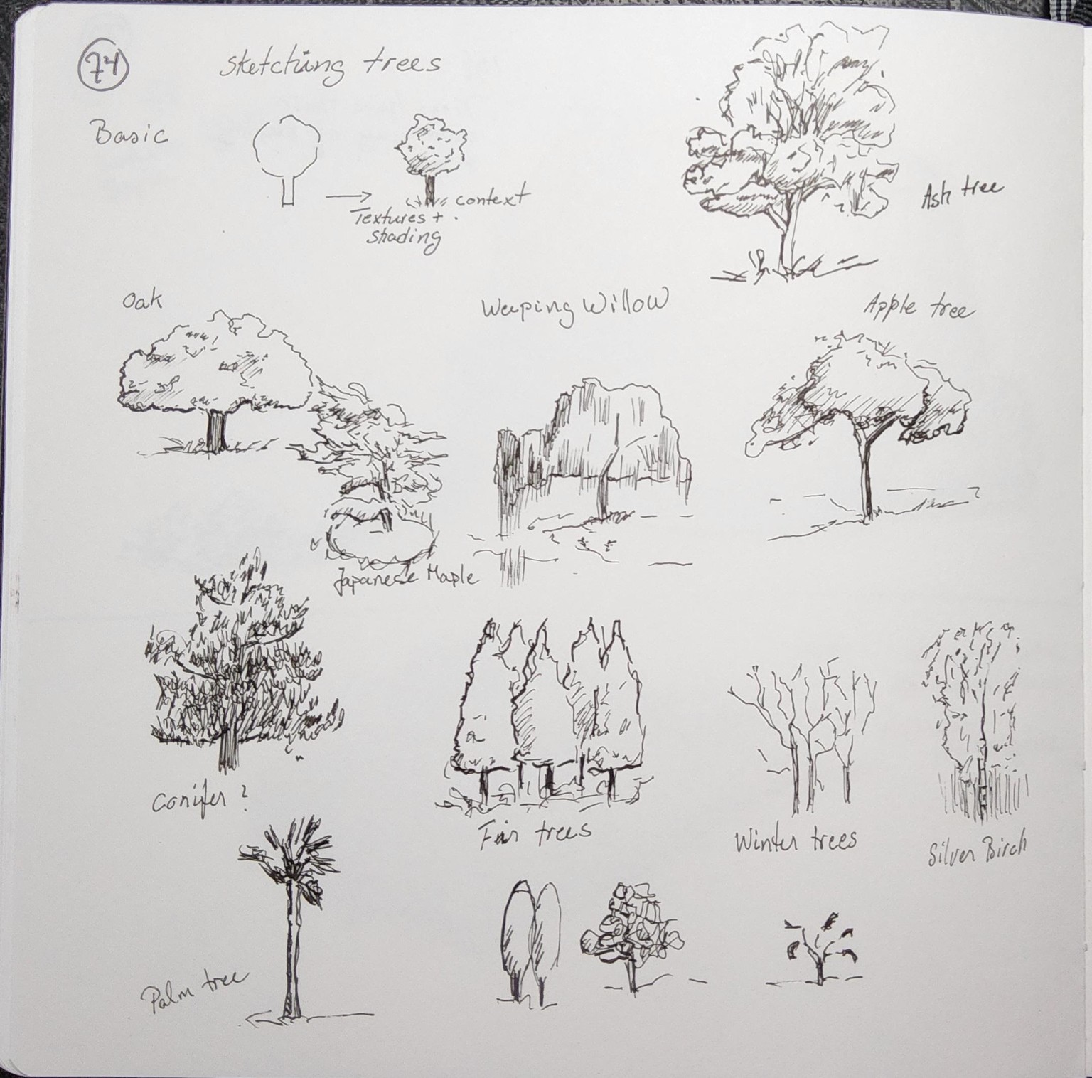 Sketching trees - image 1 - student project