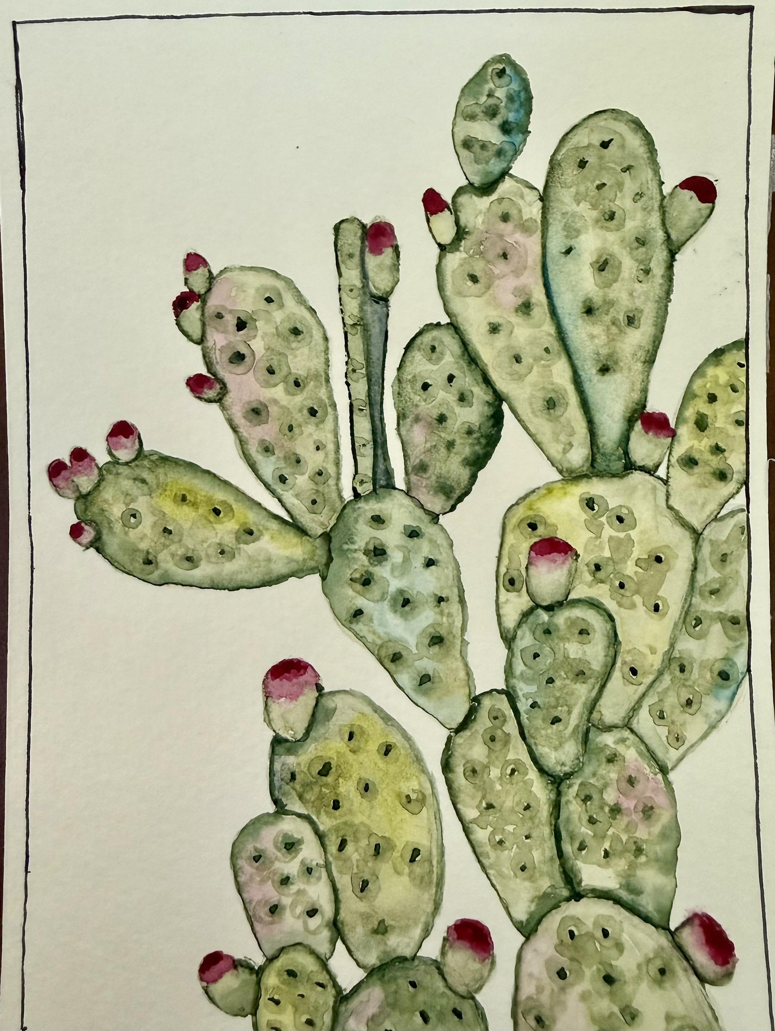 Prickly pear cactus - image 1 - student project