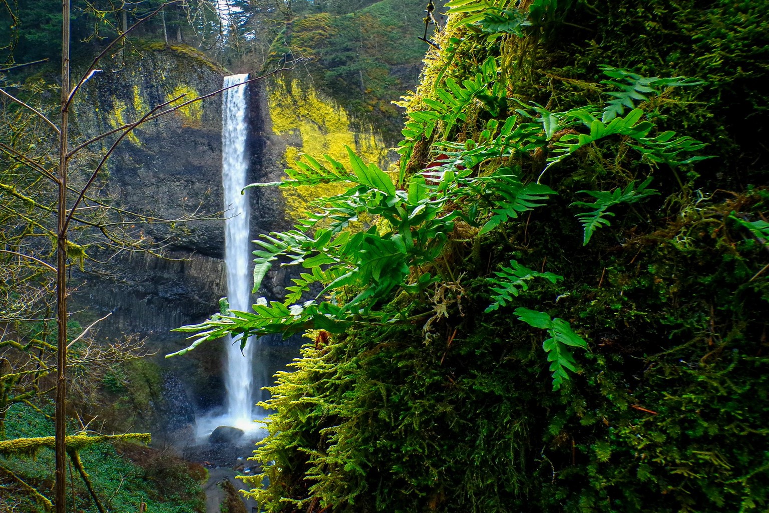 Waterfall in the Forrest - image 1 - student project