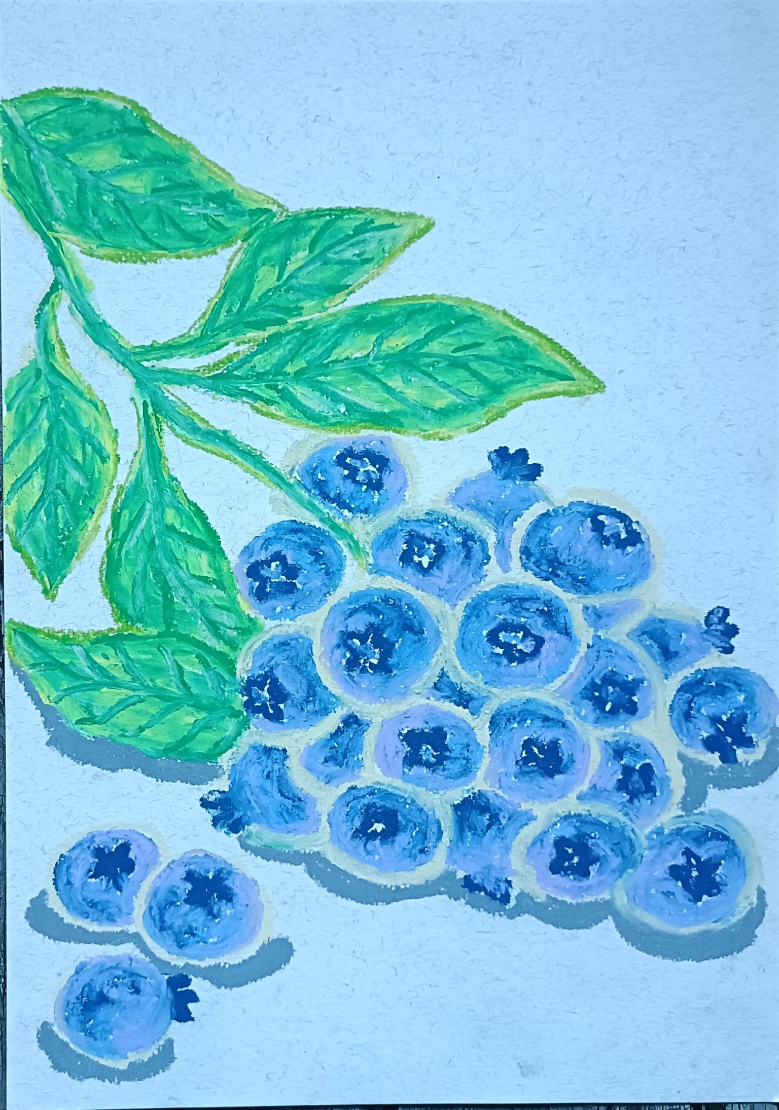 Blueberry branches - image 4 - student project
