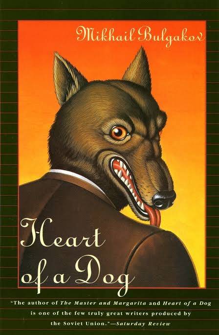 The heart of a dog redesign - image 3 - student project