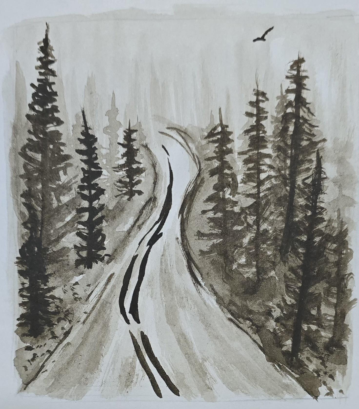 Monochromatic misty pines - image 1 - student project