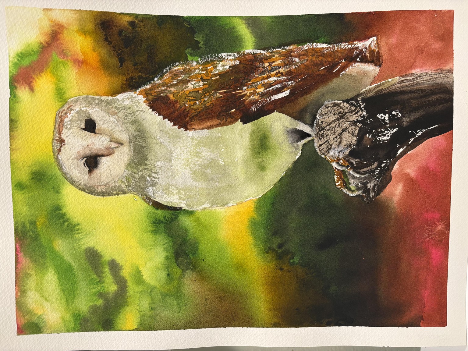 Whoo else loves owls - image 6 - student project