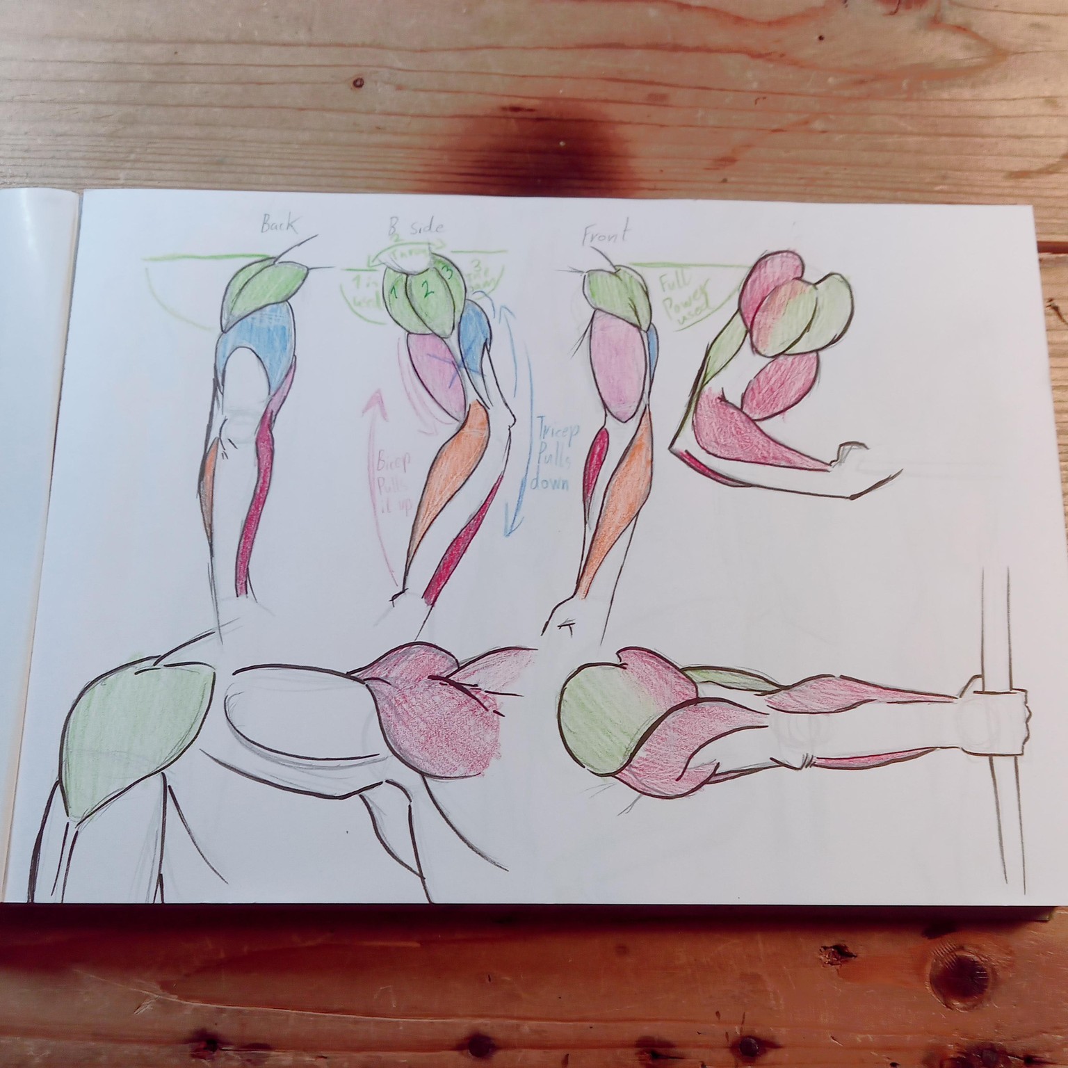 Study and Understanding ARMS - image 1 - student project