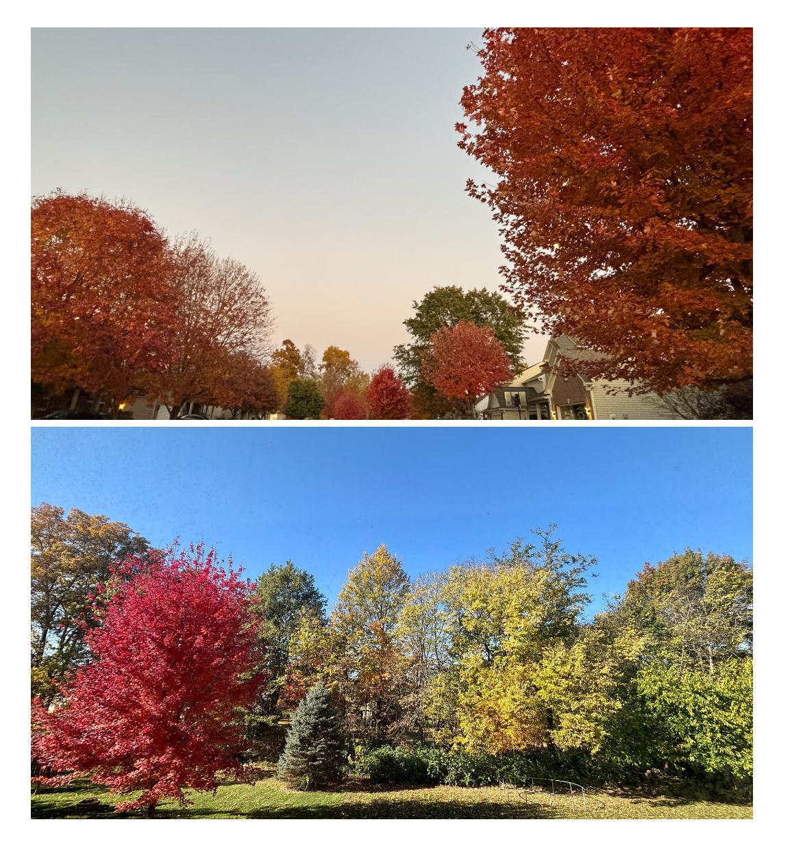 Líneas de Otoño - image 1 - student project