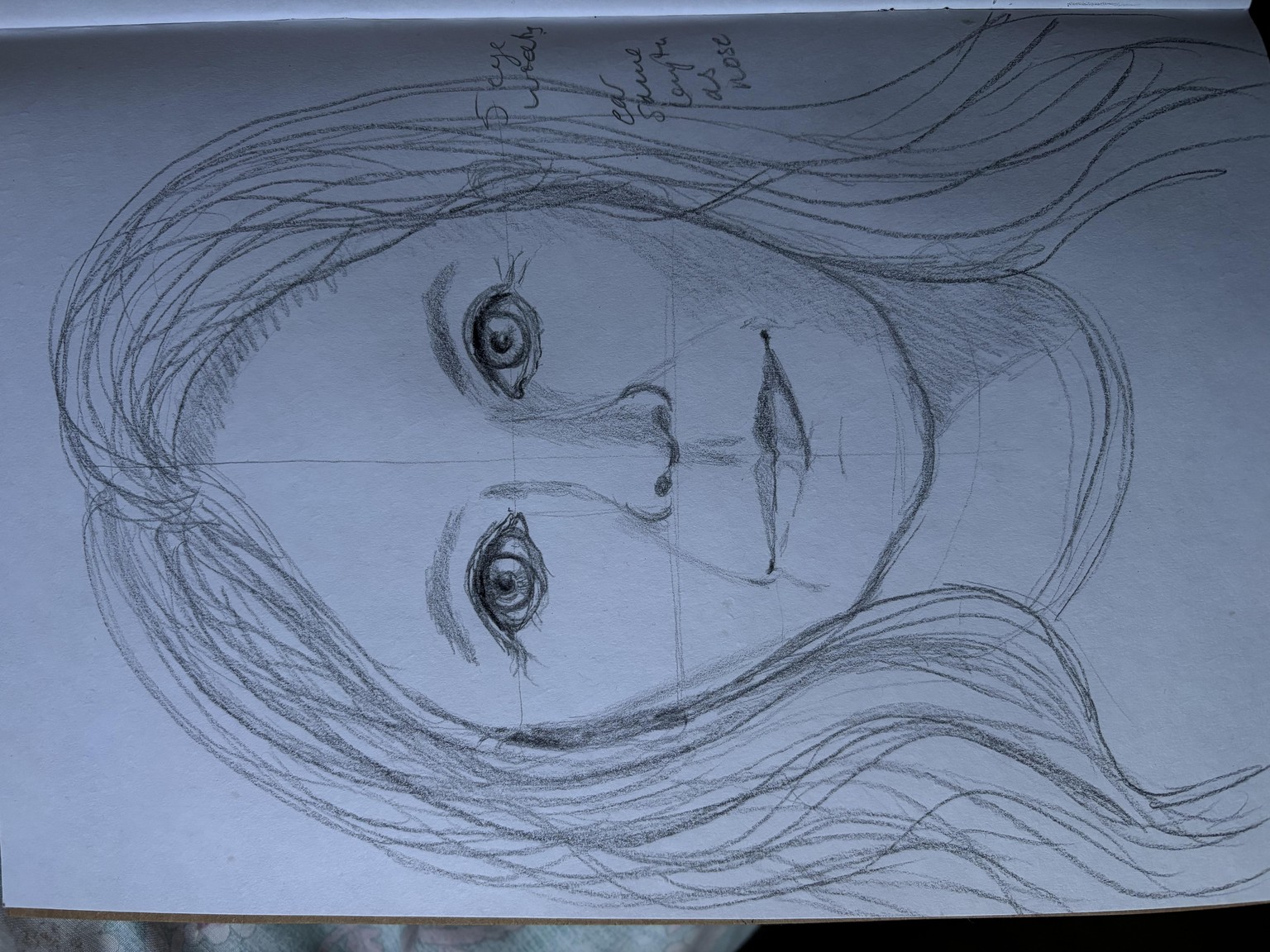 Face Facts - image 1 - student project