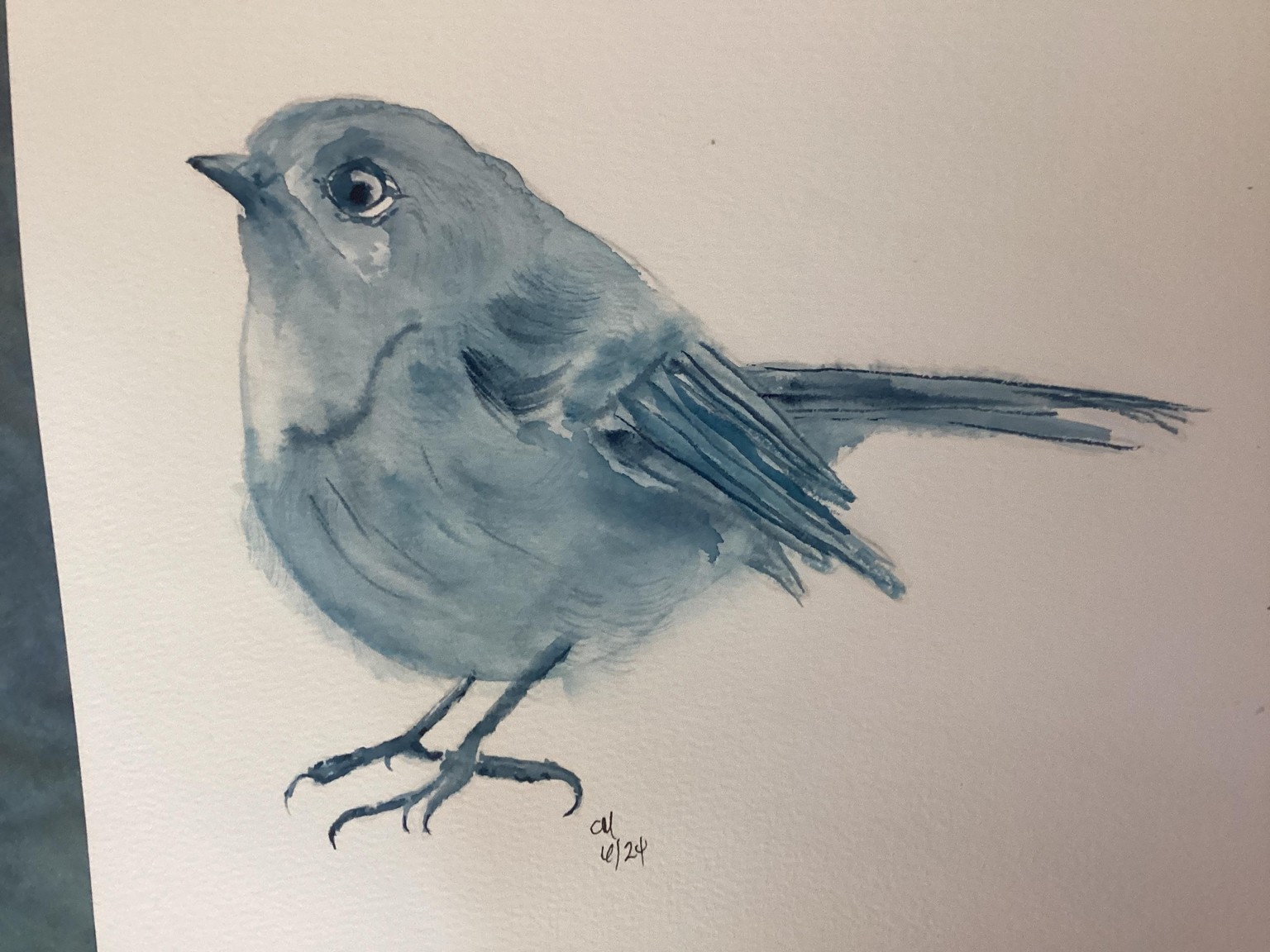 A monochrome bird, and others, a Maria Raczynska tutorial - image 5 - student project