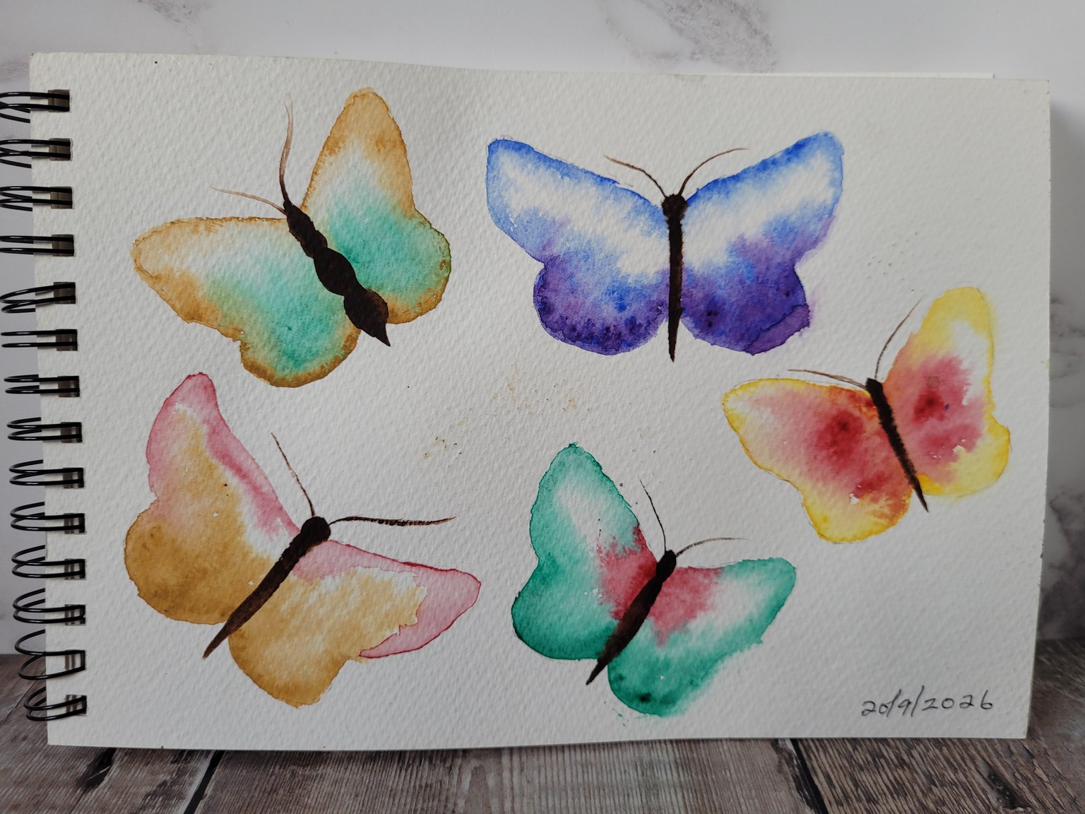 Butterflies - image 2 - student project