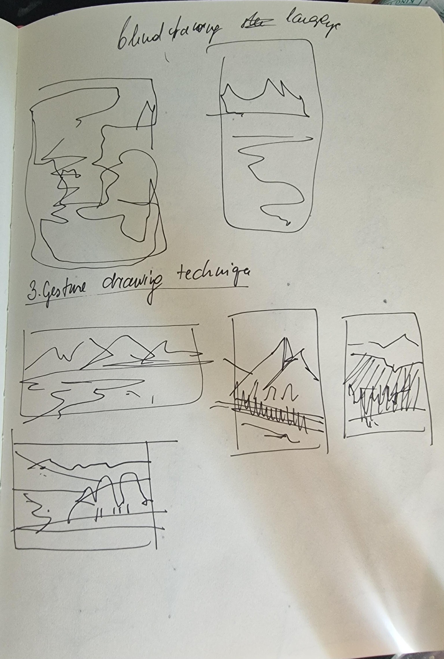 Flowers and mountains landscape - image 5 - student project