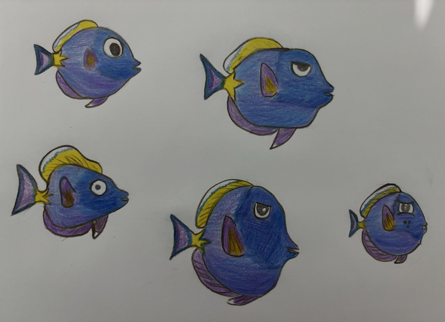 Gina: My Surgeonfish Character - image 2 - student project
