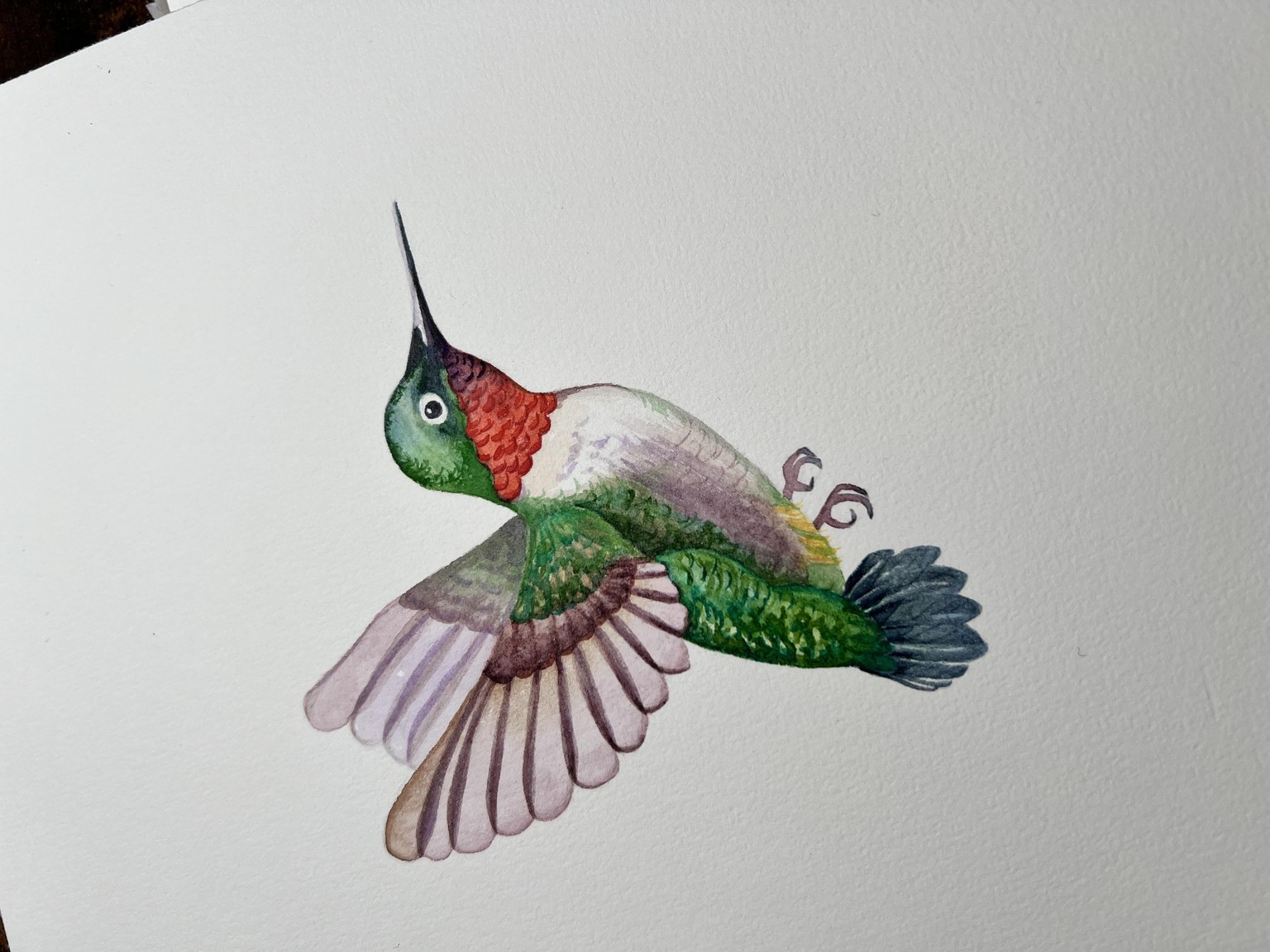 Hummingbird - image 2 - student project