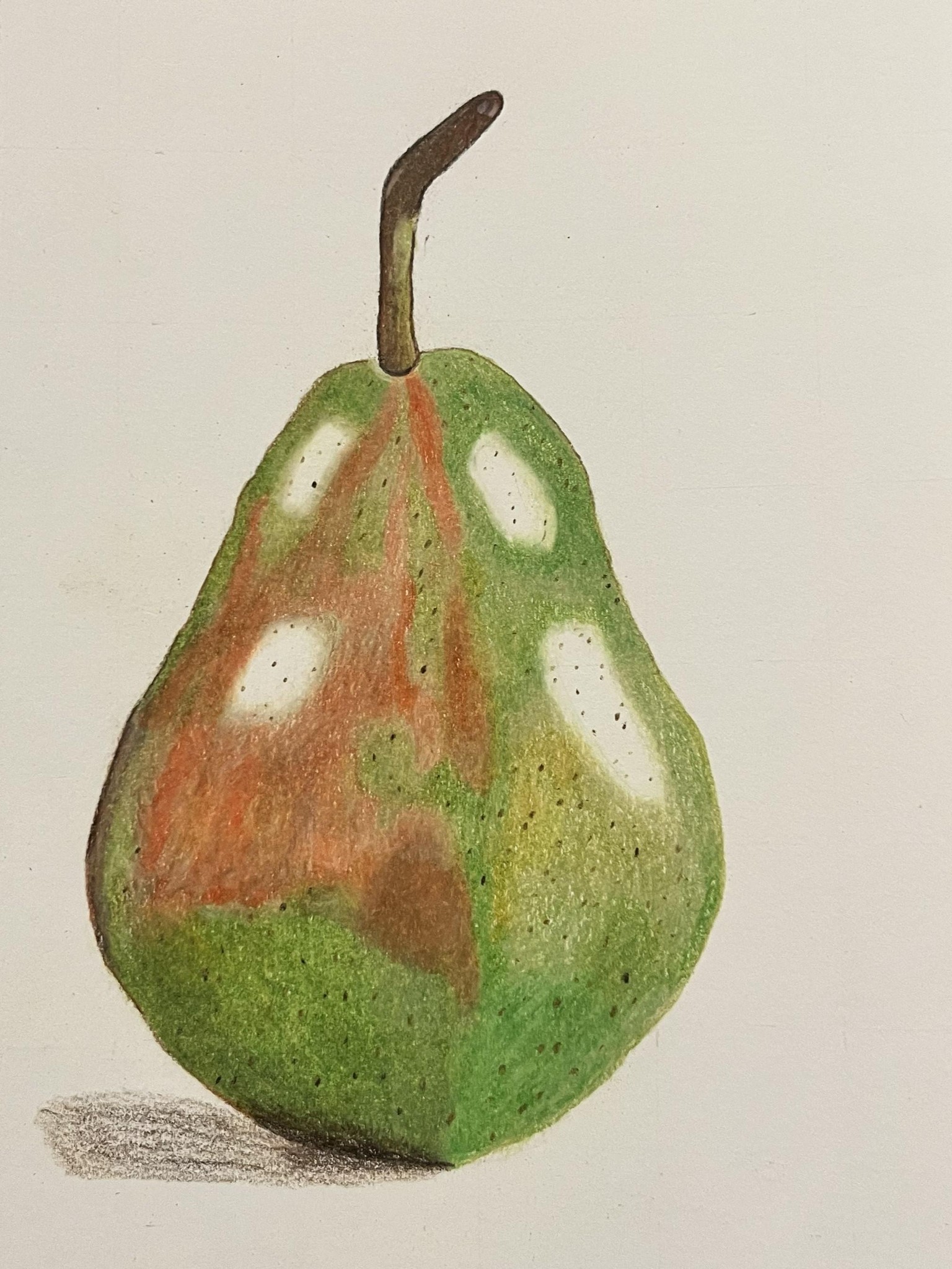 Pear in repose - image 1 - student project